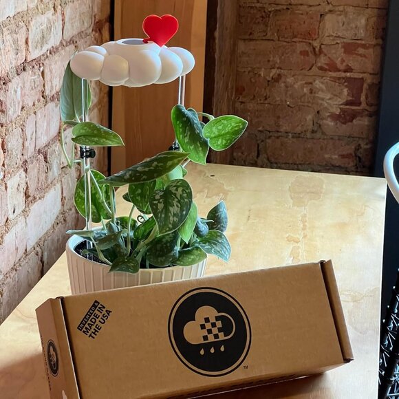 Original Dripping Rain Cloud with Heart Charm, Gift for Plant Lovers - Picture 6 of 7